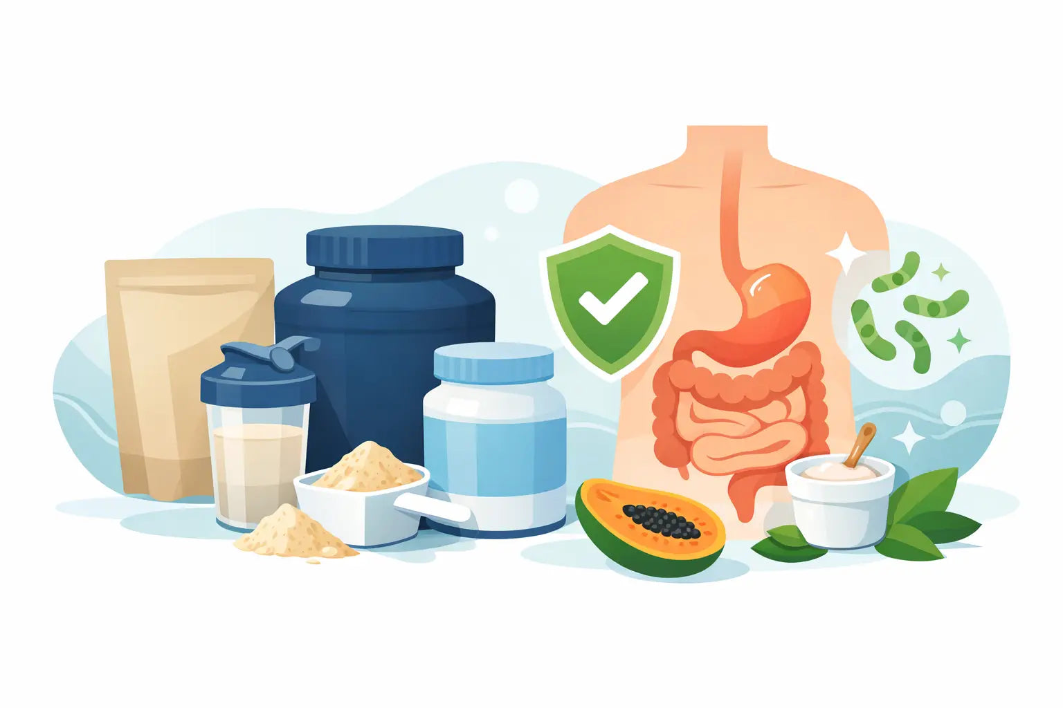 Best Protein Powders for Digestion That Work