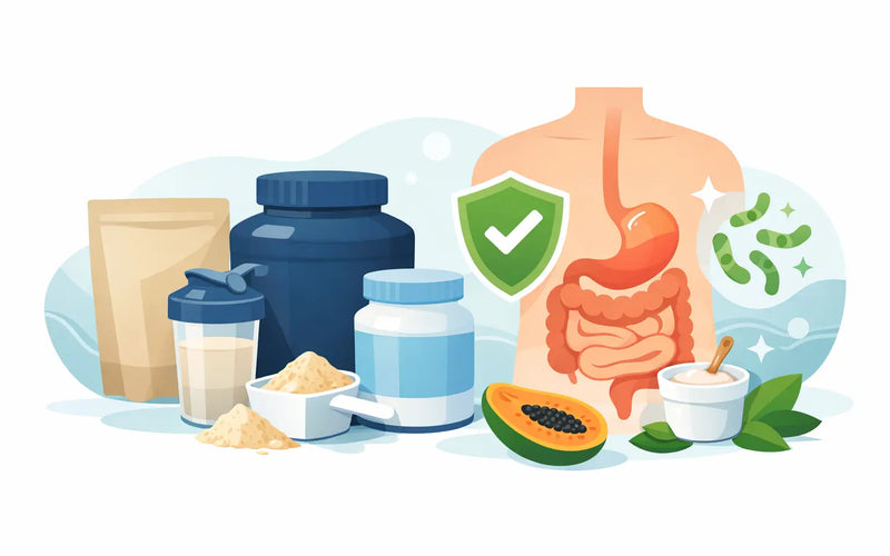Best Protein Powders for Digestion That Work
